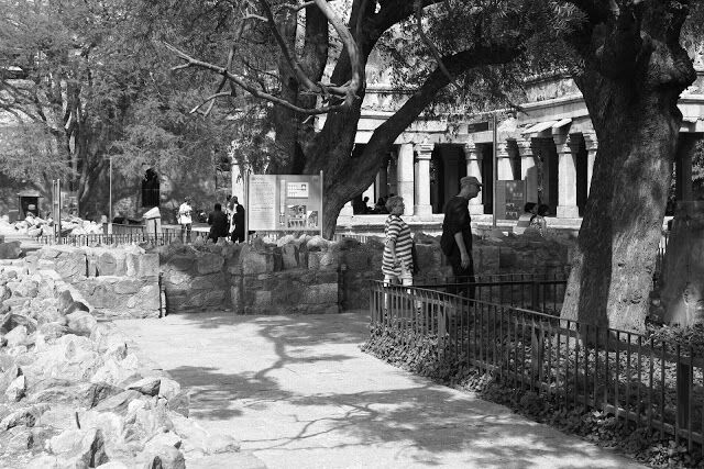 Hauz Khas Social